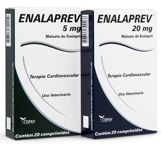 Terapia cardiovascular à base de Maleato de Enalapril.