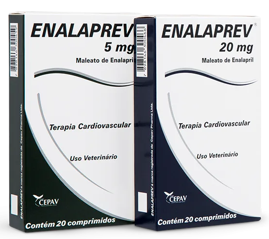 Terapia cardiovascular à base de Maleato de Enalapril.
